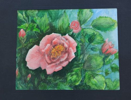 Marian, Rose, acrylic.